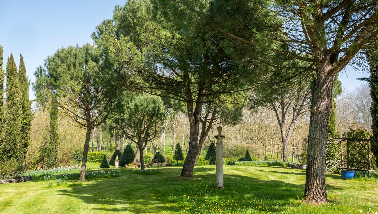 La Pinède au printemps (© Julien Gazeau)