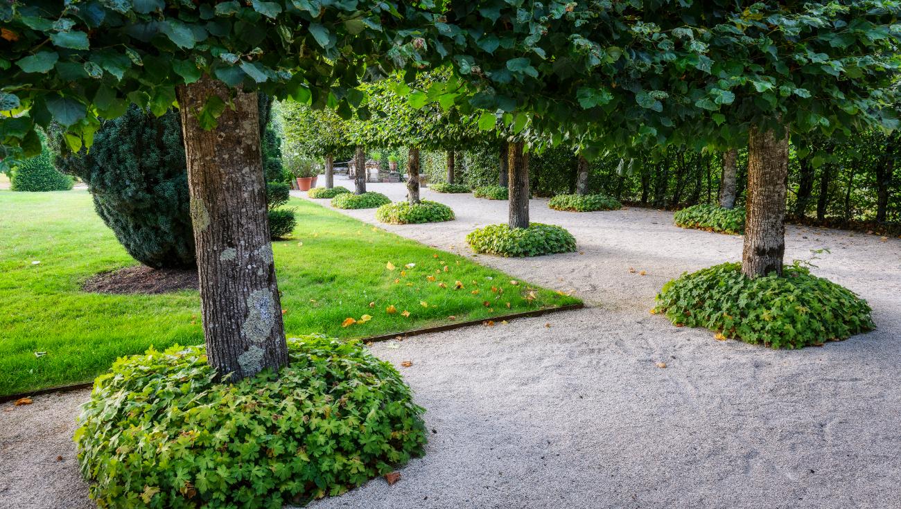 Parterre (© Lionel Hug)