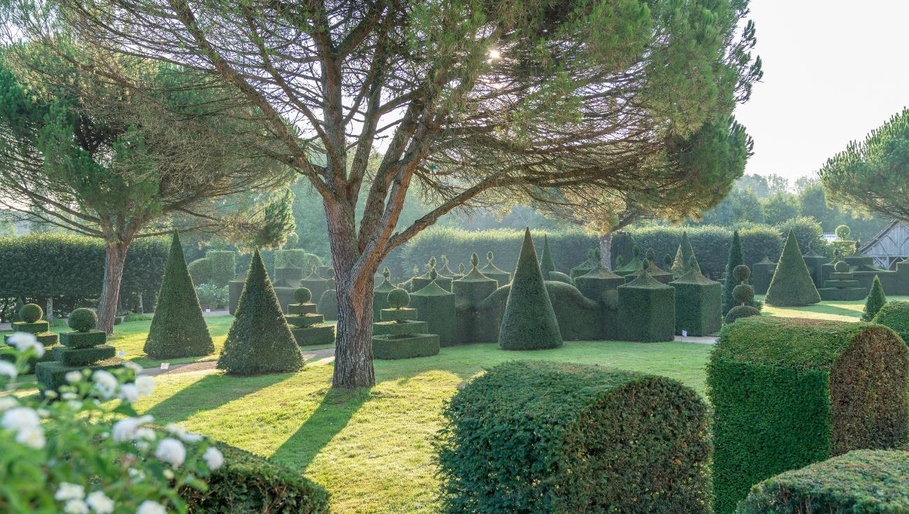 Parterre et Terrasse