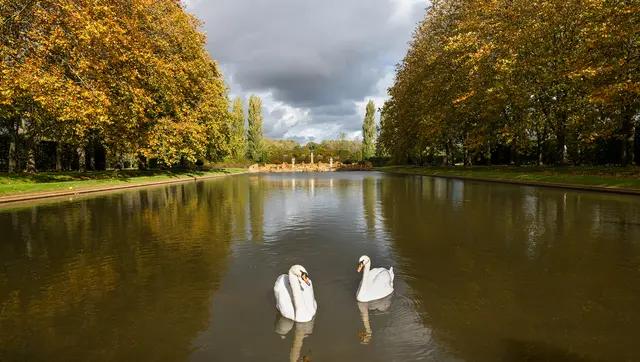 miroir d'eau