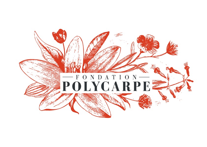 fondation polycarpe
