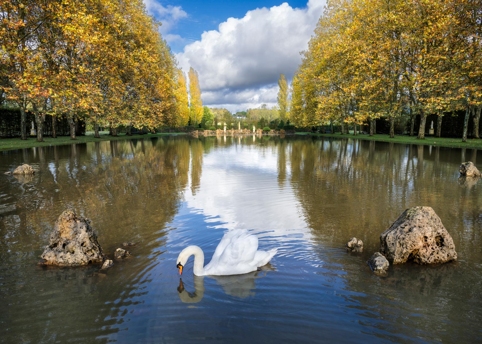 Jardins de William Christie