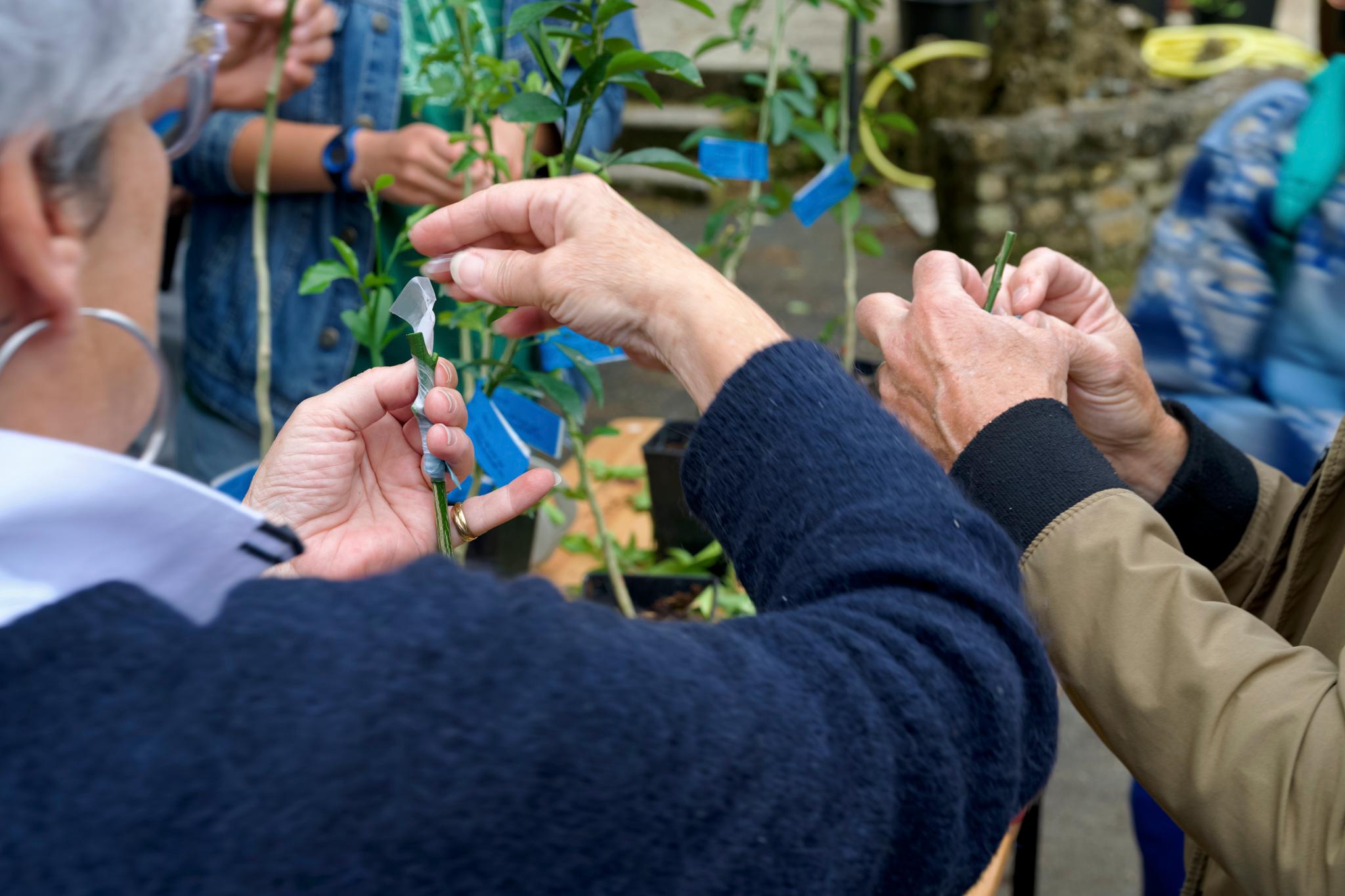 Ateliers jardinage Arts Flo